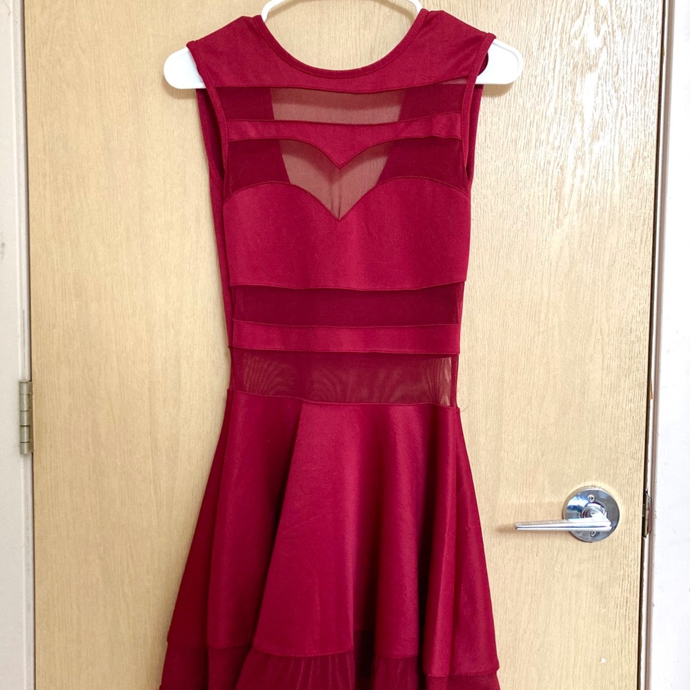 Mesh Panel Skater Dress